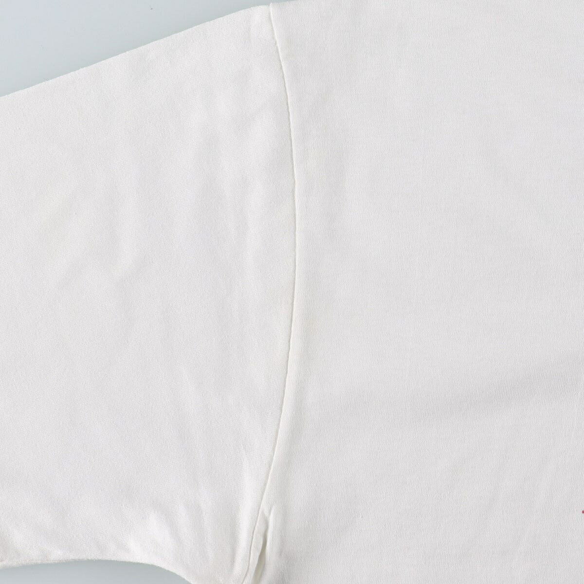 Hanes/ヘインズ HEAVYWEIGHT 50/50 カレッジTシャツ