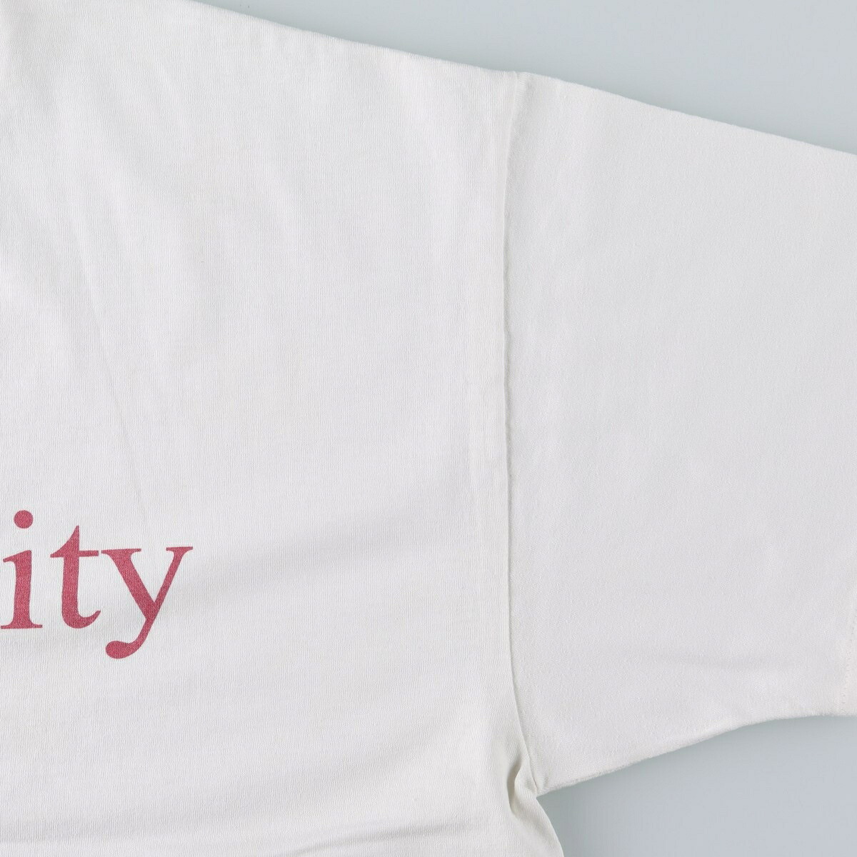 Hanes/ヘインズ HEAVYWEIGHT 50/50 カレッジTシャツ