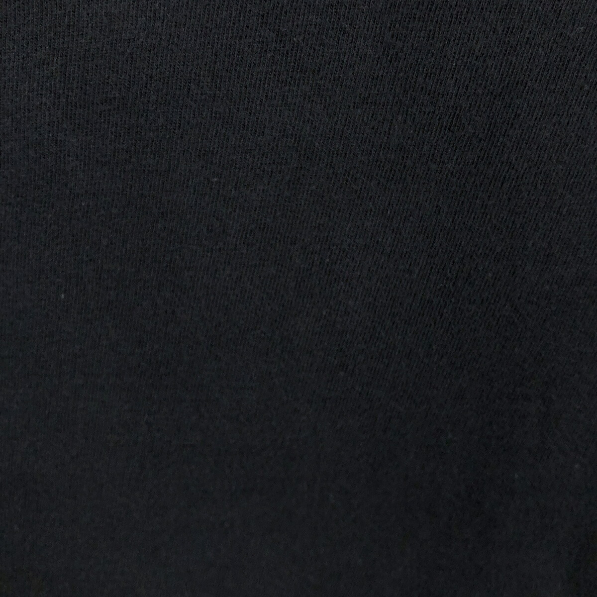 STUSSY/ステューシー サーフ スケートTシャツ