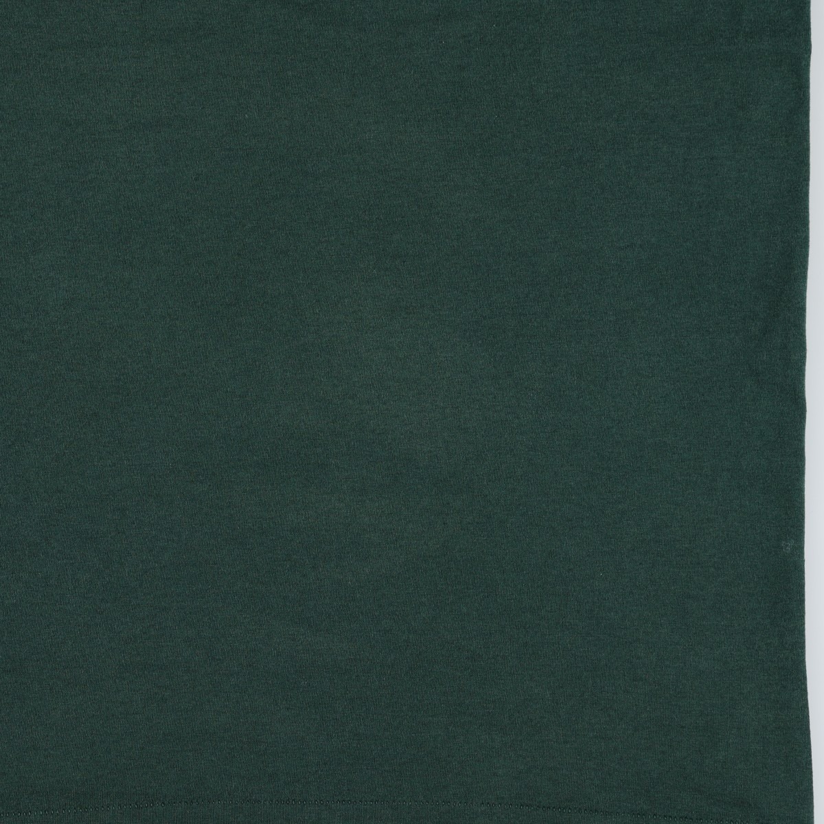 古着 90年代 フルーツオブザルーム FRUIT OF THE LOOM BEST Irish Tiger シャムロック メッセージプリントTシャツ USA製 メンズXL相当 ヴィンテージ /eaa663996 【中古】 【260816】