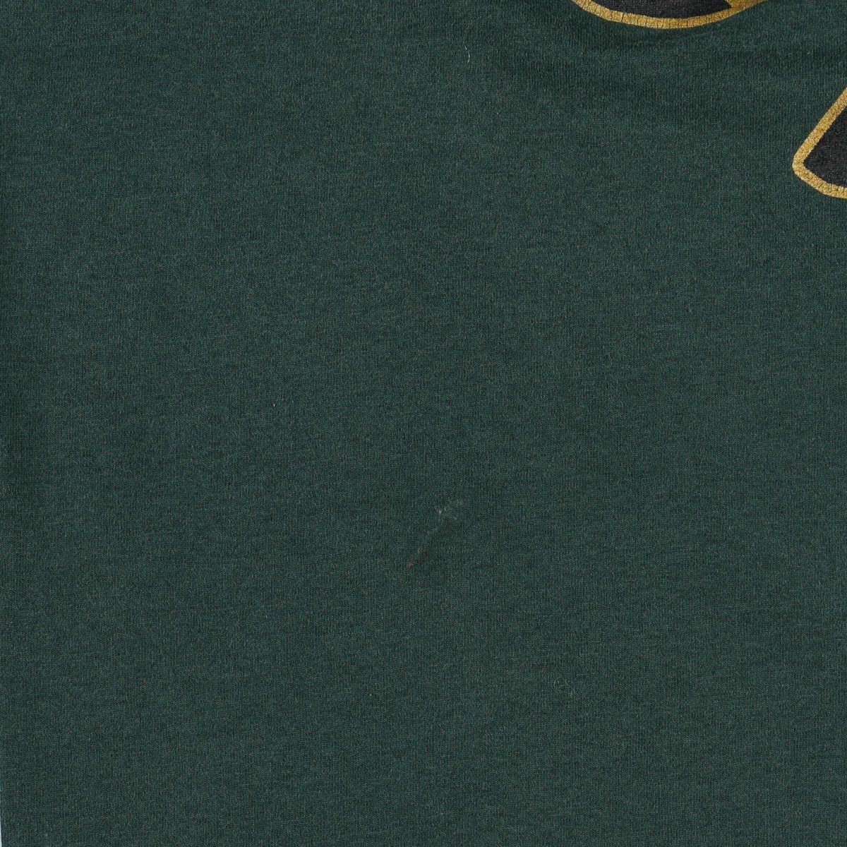 古着 90年代 フルーツオブザルーム FRUIT OF THE LOOM BEST Irish Tiger シャムロック メッセージプリントTシャツ USA製 メンズXL相当 ヴィンテージ /eaa663996 【中古】 【260816】