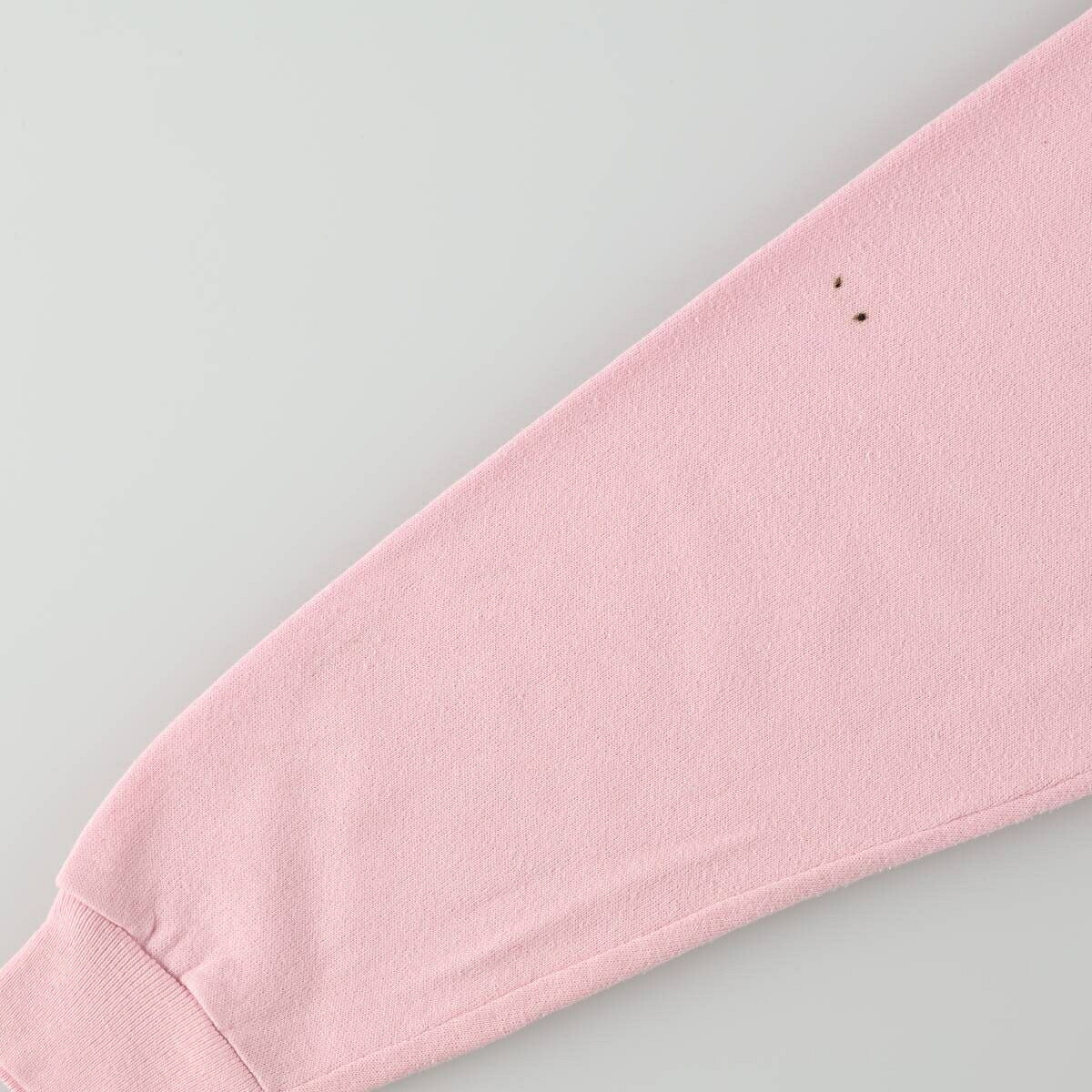 Hanes/ヘインズ 青タグ アドバタイジング スウェットシャツ トレーナー