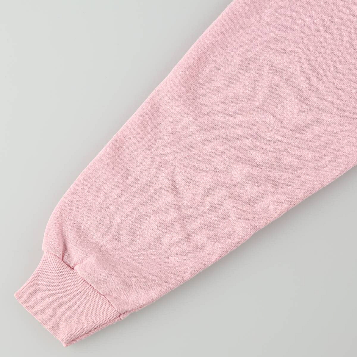 Hanes/ヘインズ 青タグ アドバタイジング スウェットシャツ トレーナー