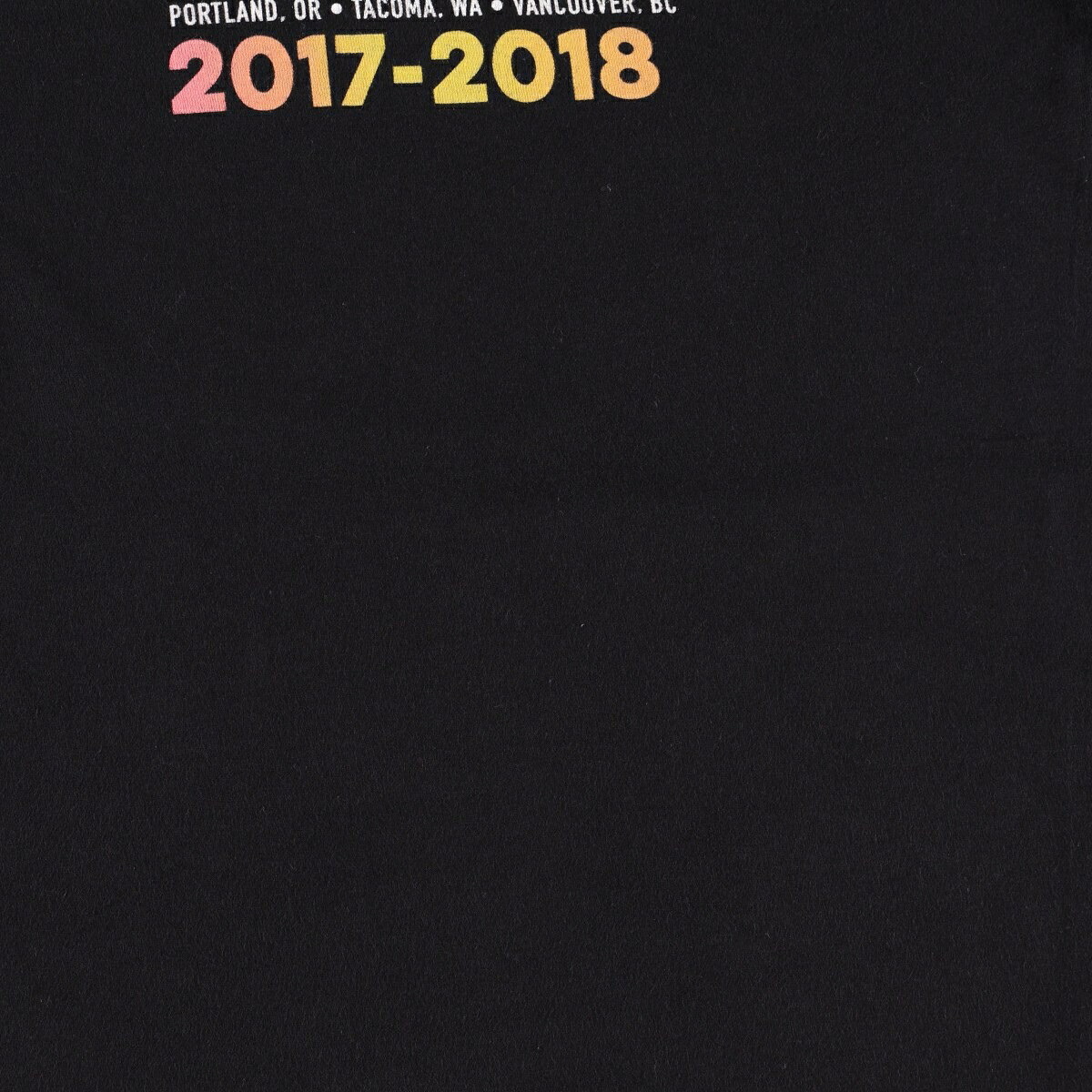 KATY PERRY ケイティペリー Witness The Tour バンドTシャツ バンT