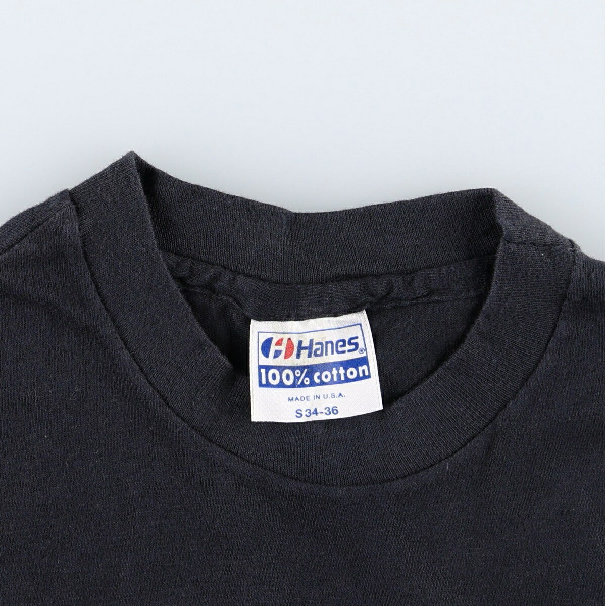 Hanes/ヘインズ Paul Young ポールヤング The Royal Family ザロイヤルファミリー バンドTシャツ バンT