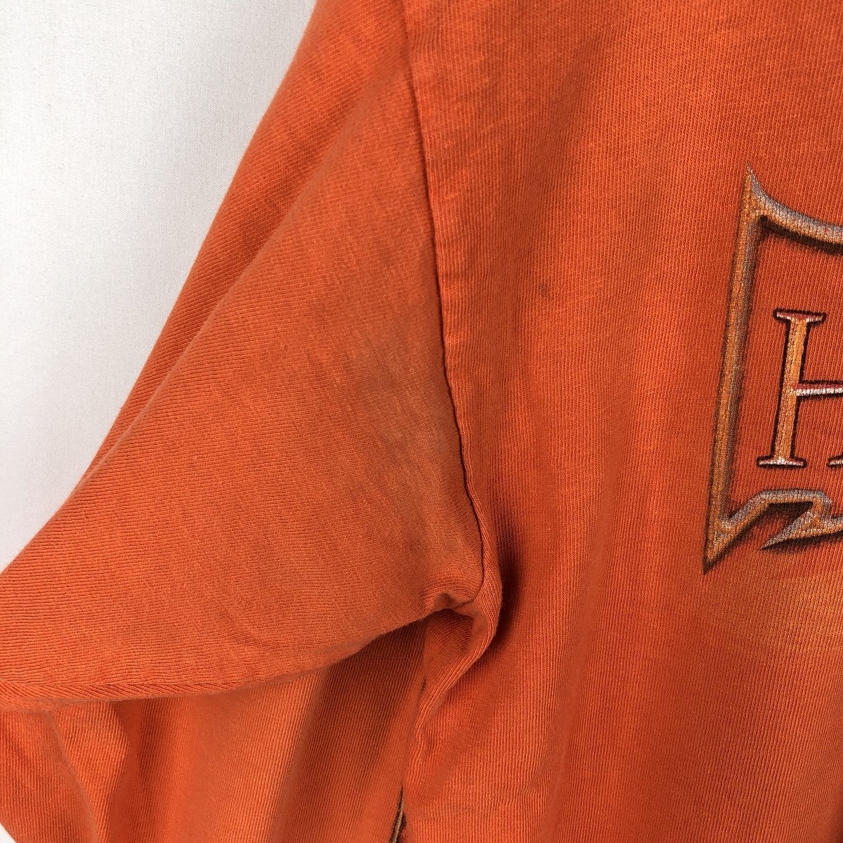 Hanes/ヘインズ Harley-Davidson ハーレーダビッドソン ロングTシャツ ロンT