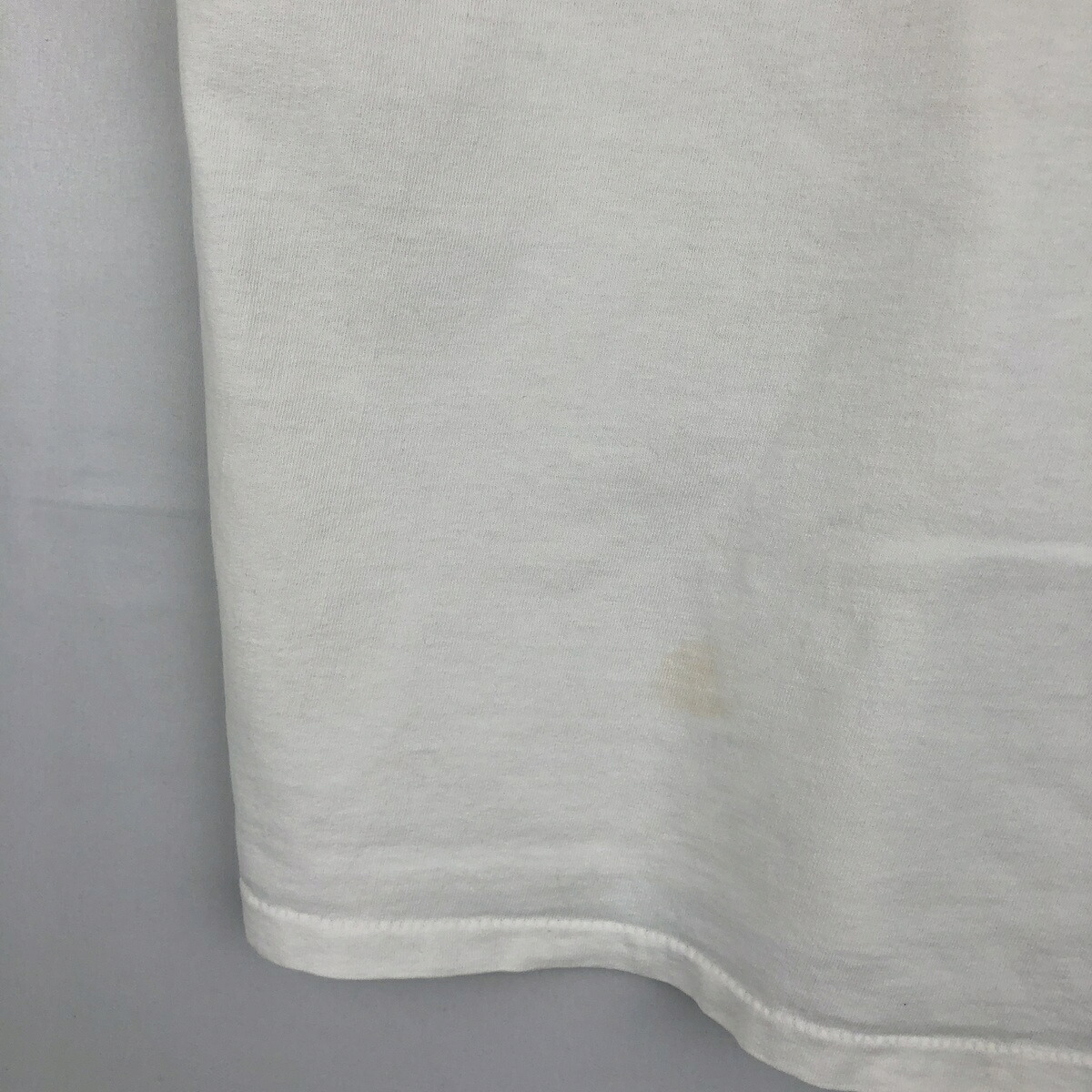 Hanes/ヘインズ HEAVYWEIGHT アニマルTシャツ
