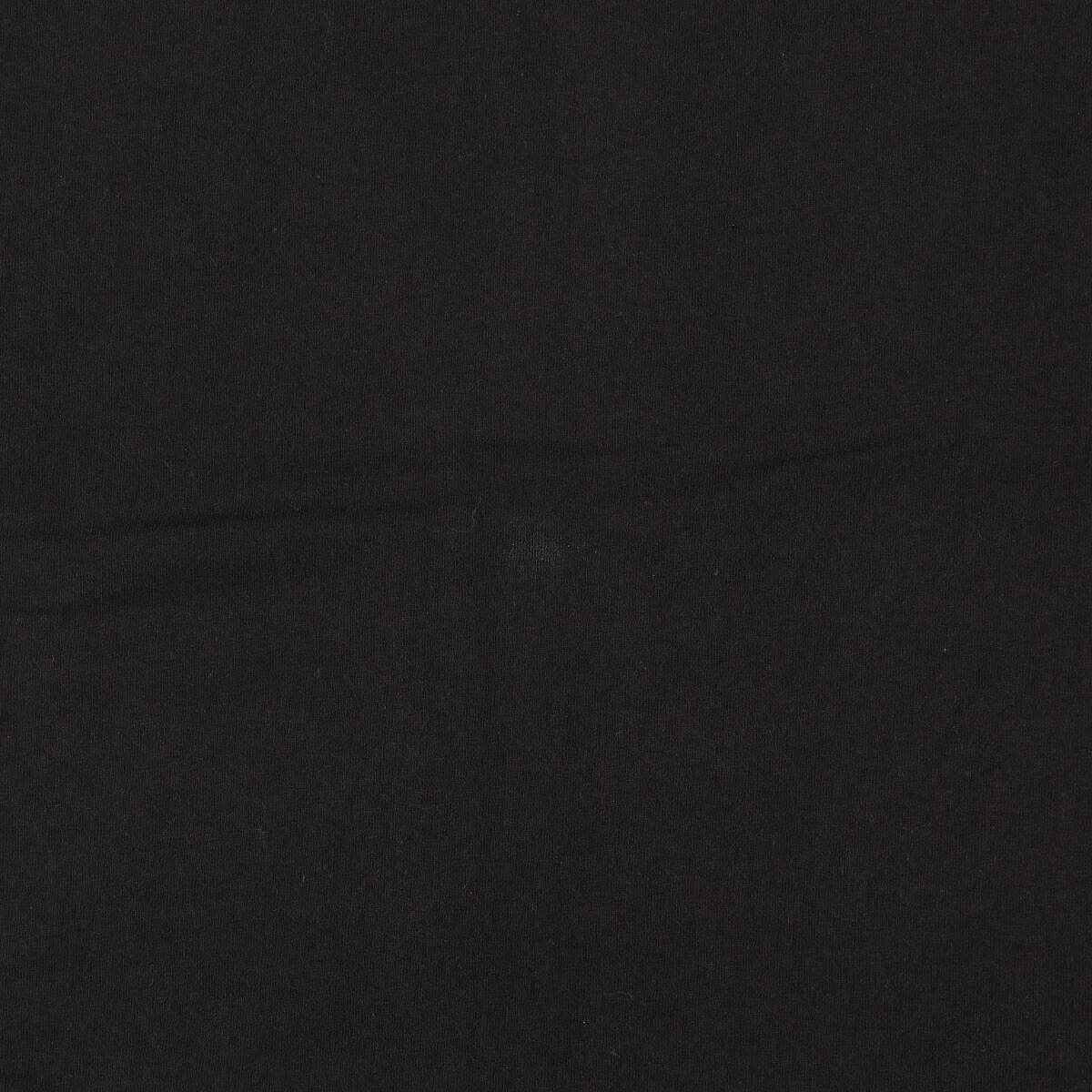 Lee/リー BETTE MIDLER ベットミドラー バンドTシャツ バンT