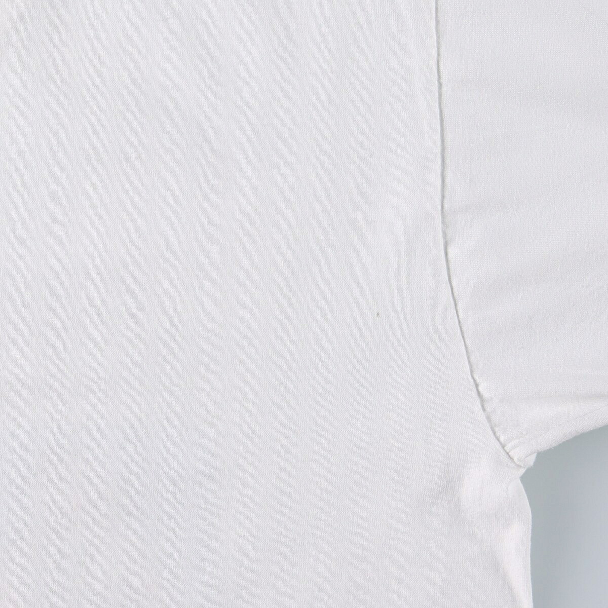 FRUIT OF THE LOOM/フルーツオブザルーム フォトTシャツ