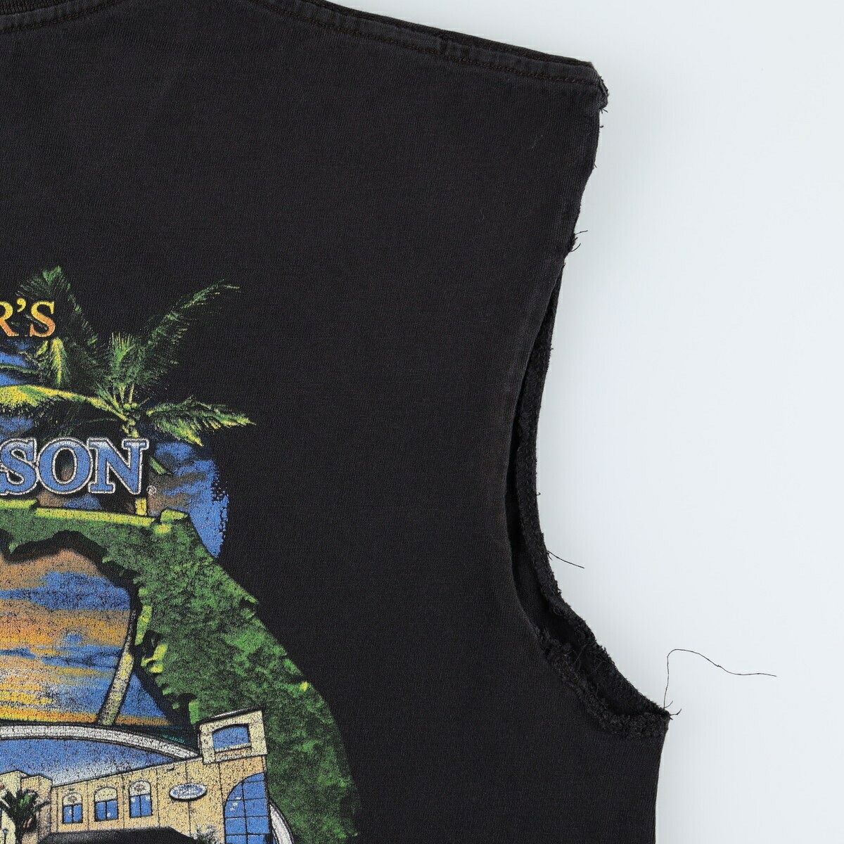 古着 ハーレーダビッドソン Harley-Davidson ノースリーブ モーターサイクル バイクTシャツ メンズL相当 /eaa671382 【中古】 【260829】