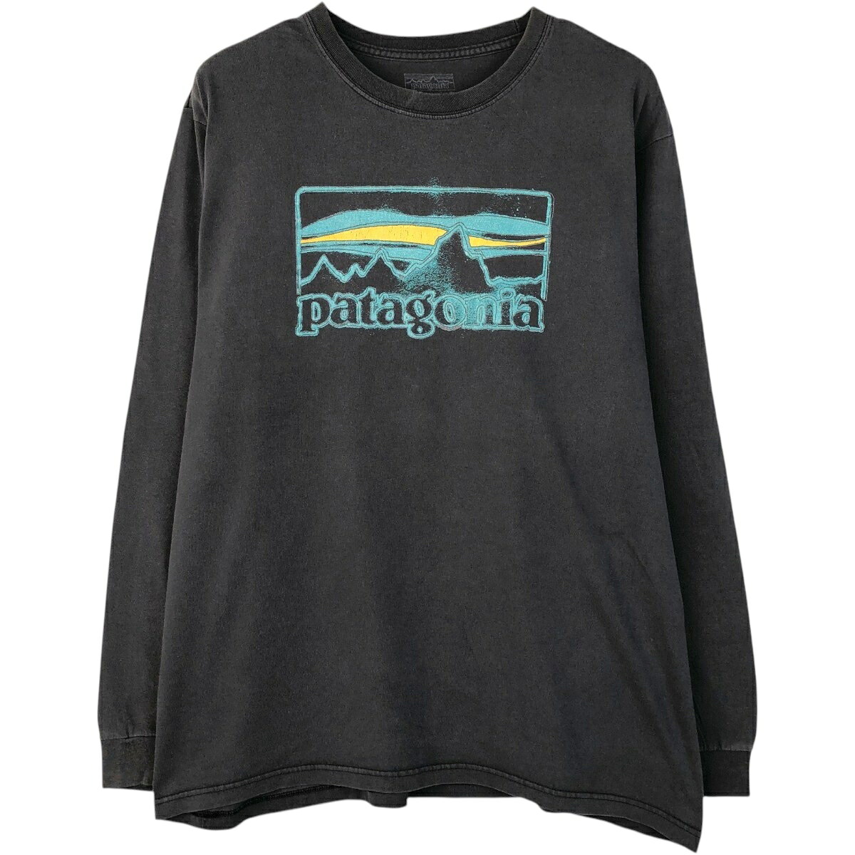 Patagonia/パタゴニア 38935FA16 ロングTシャツ ロンT