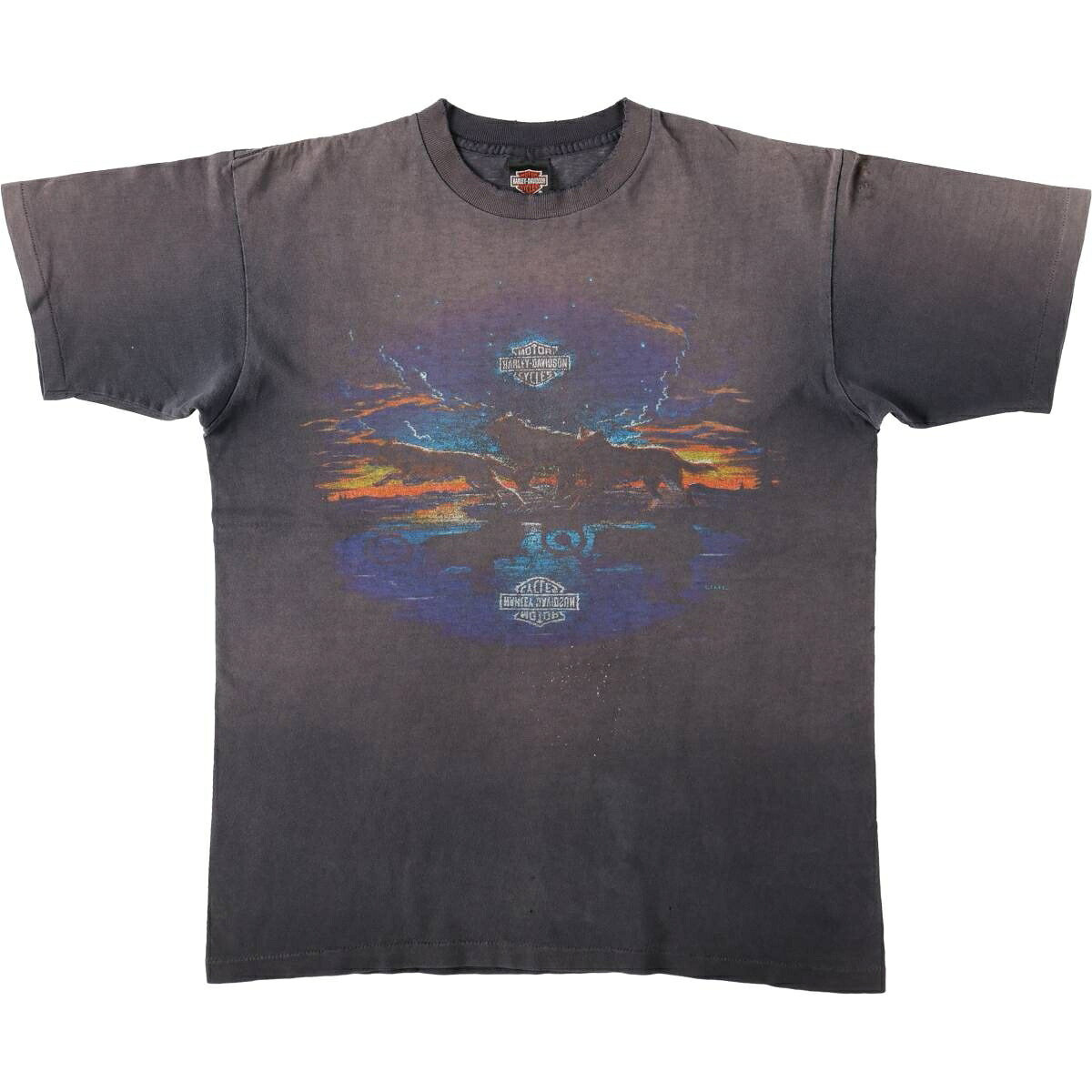 Harley-Davidson/ハーレーダビッドソン モーターサイクル バイクTシャツ