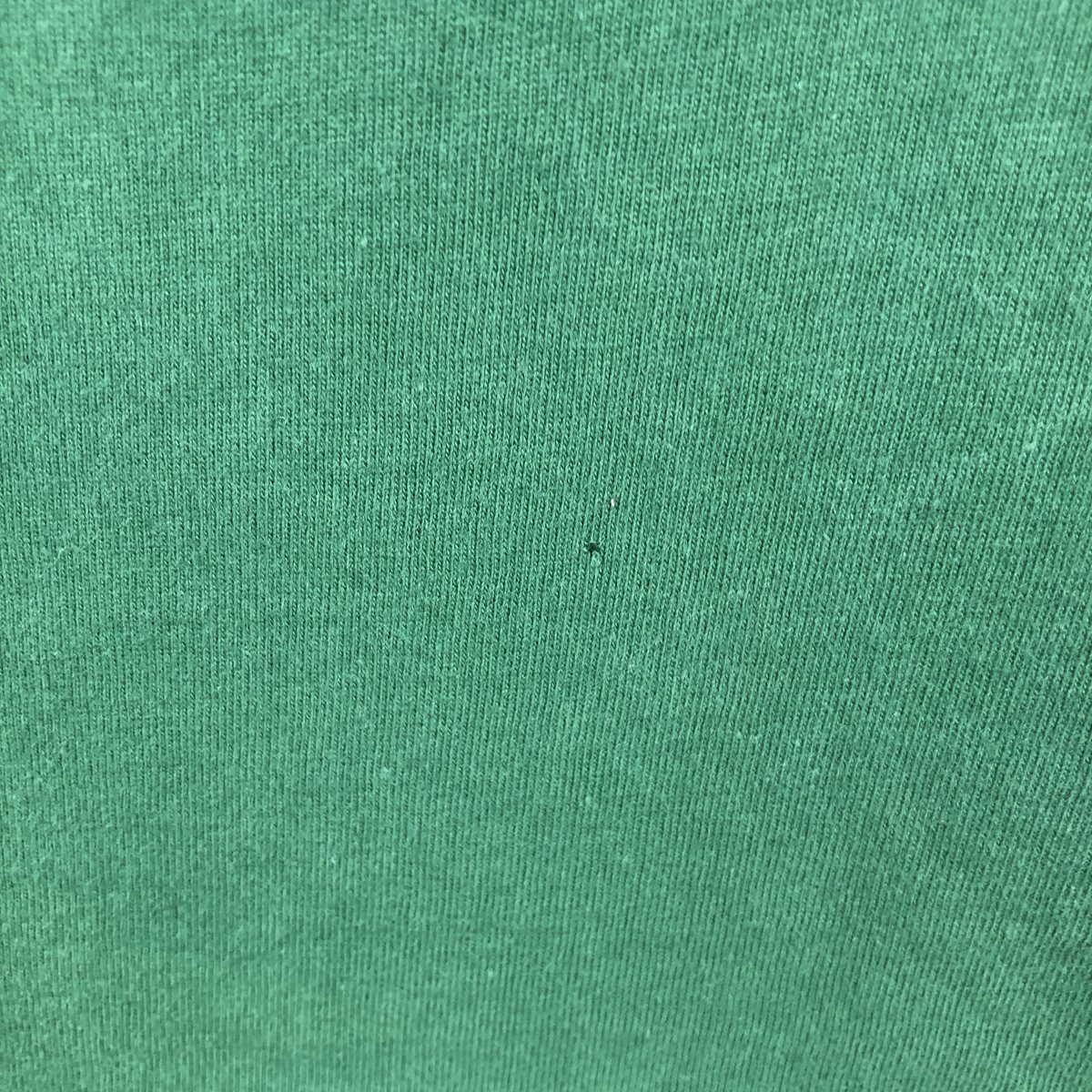 Hanes/ヘインズ BEEFY-T アートTシャツ