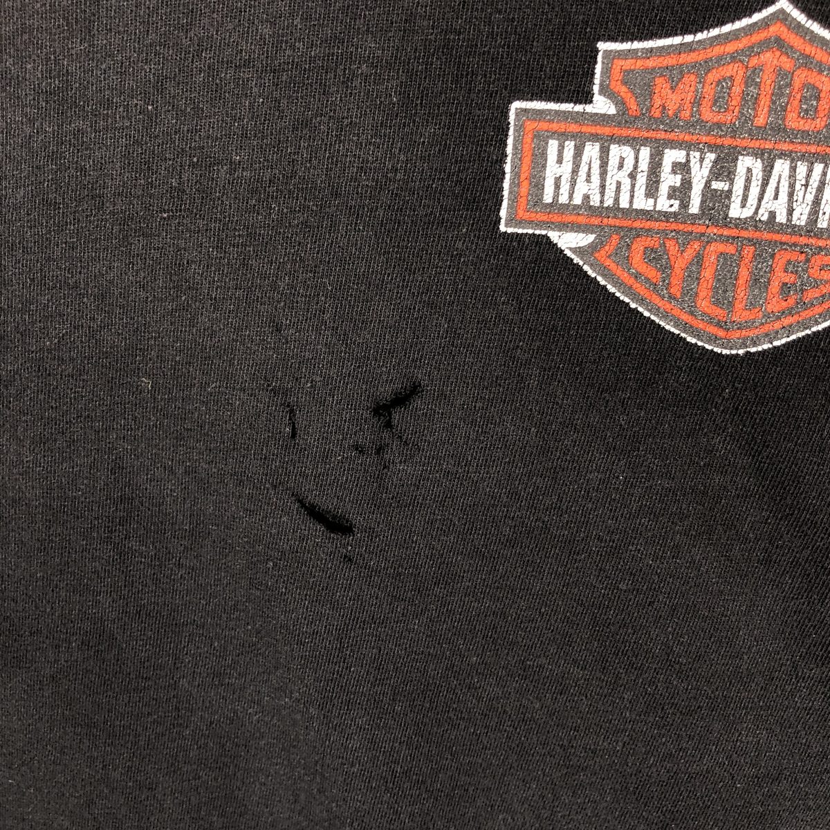 Harley-Davidson/ハーレーダビッドソン ロングTシャツ ロンT