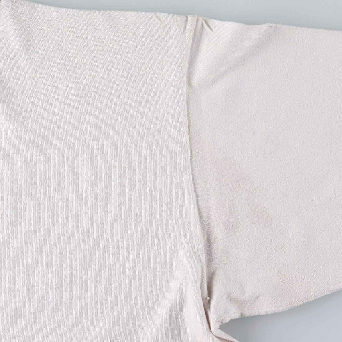 Champion/チャンピオン AUTHENTIC ATHLETIC APPAREL ロゴプリントTシャツ