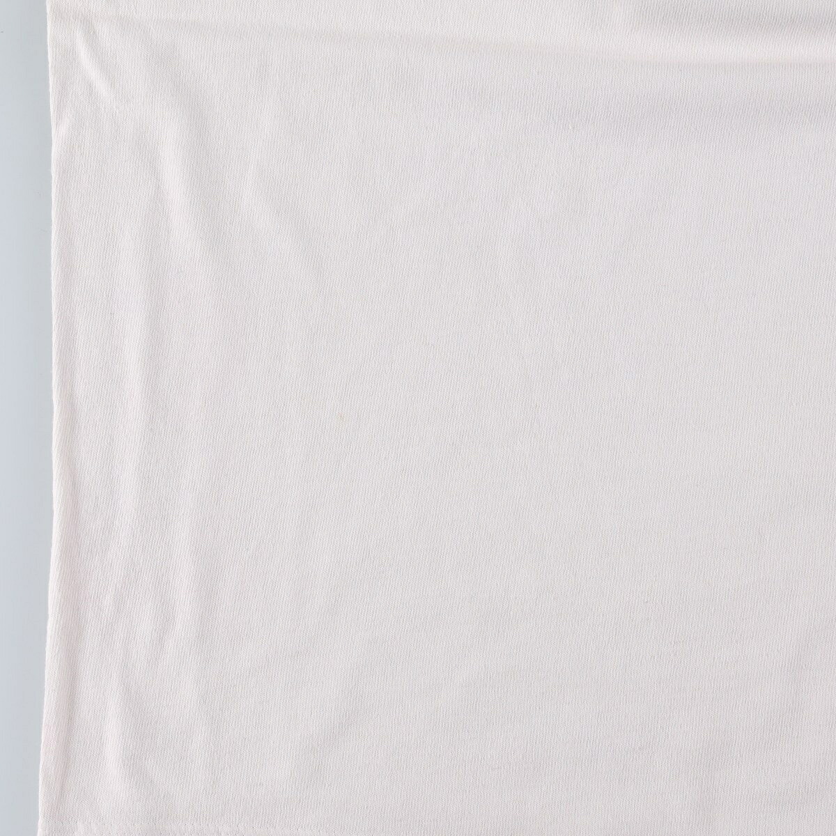 Champion/チャンピオン AUTHENTIC ATHLETIC APPAREL ロゴプリントTシャツ