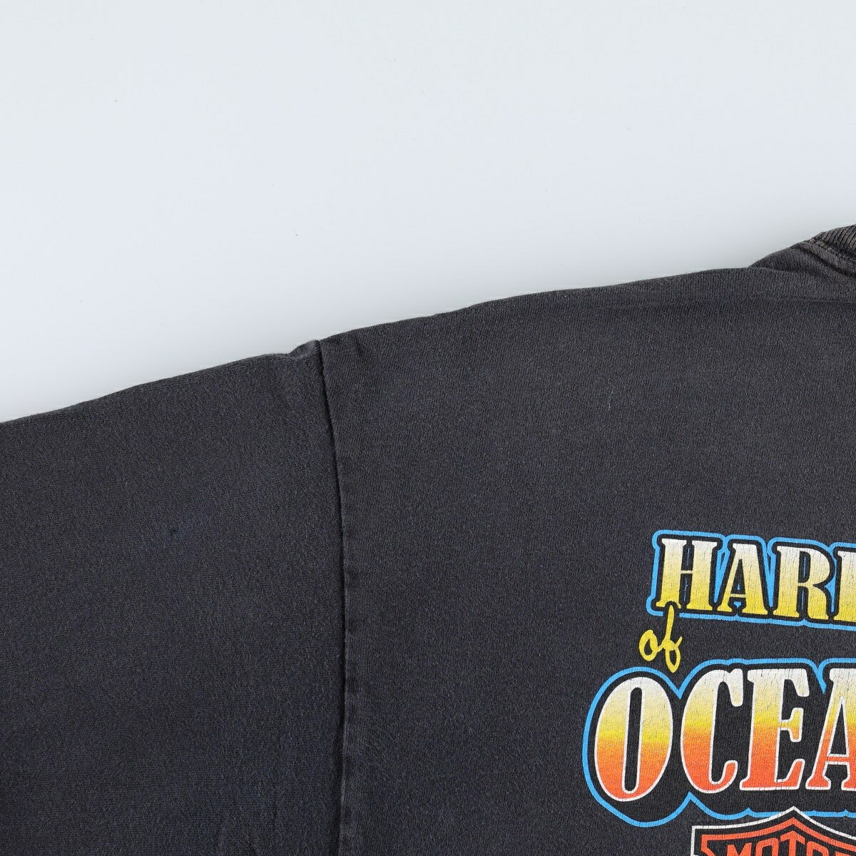 Hanes/ヘインズ Harley-Davidson ハーレーダビッドソン モーターサイクル バイクTシャツ