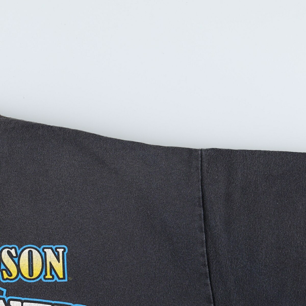 Hanes/ヘインズ Harley-Davidson ハーレーダビッドソン モーターサイクル バイクTシャツ
