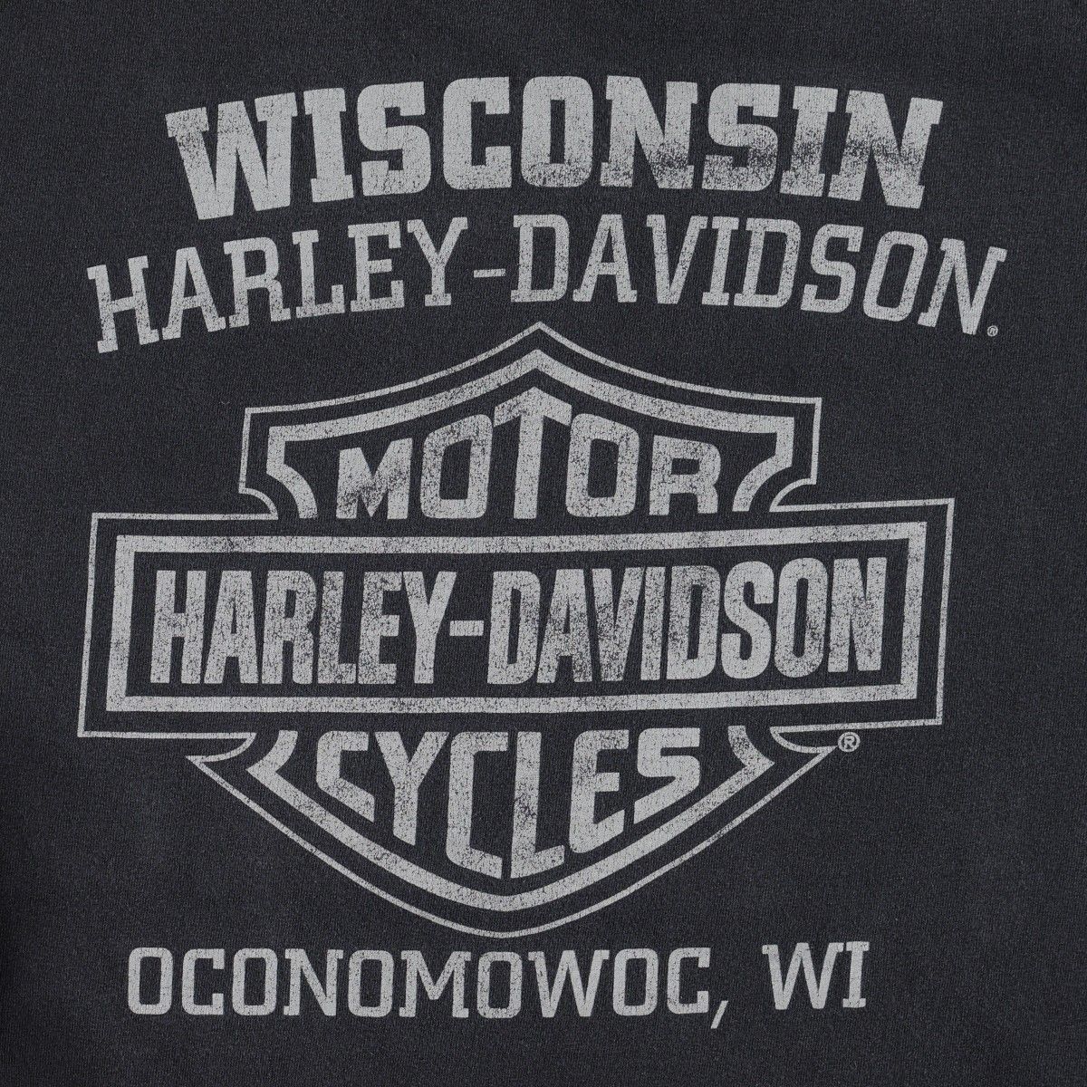 Harley-Davidson/ハーレーダビッドソン モーターサイクル バイクTシャツ