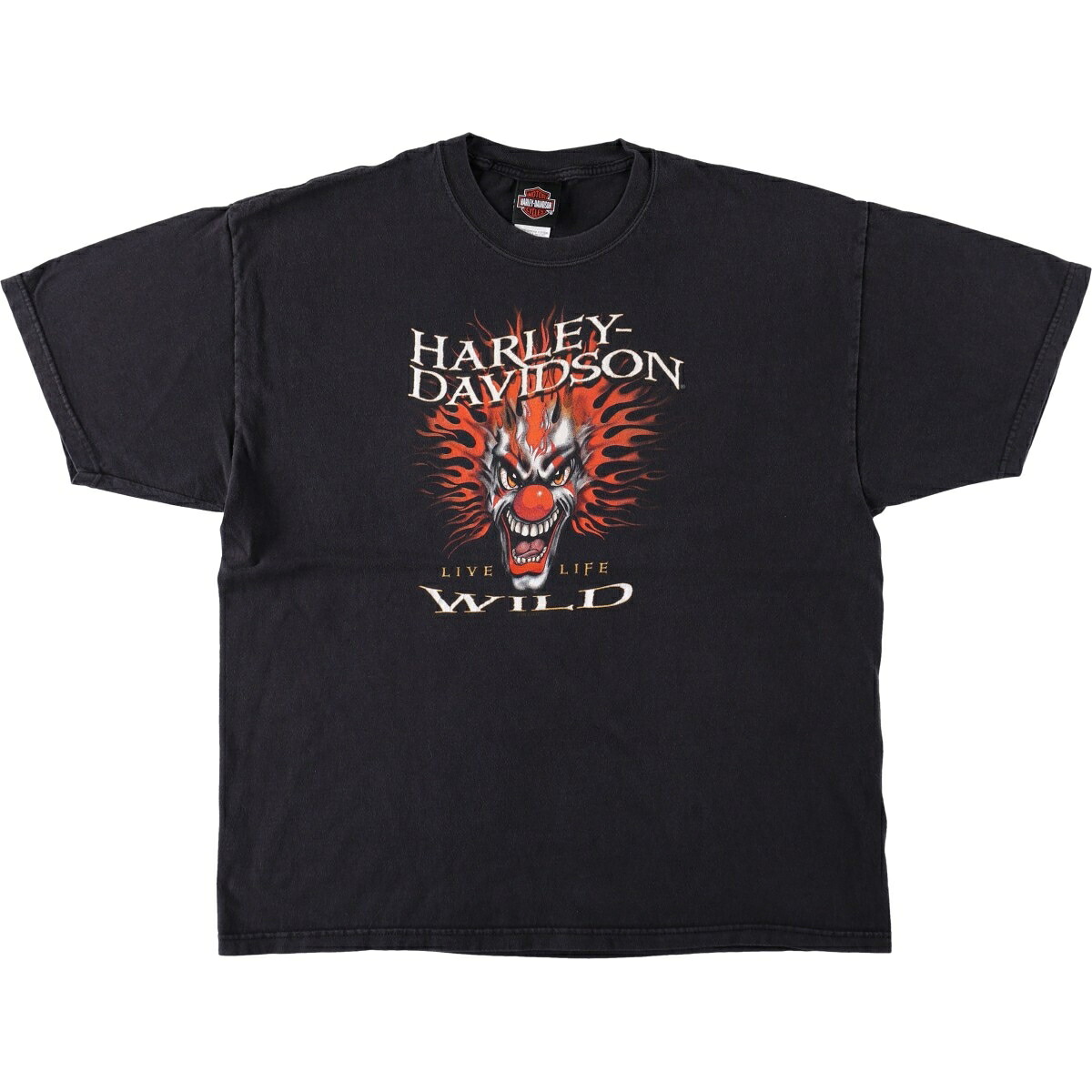 Hanes/ヘインズ Harley-Davidson ハーレーダビッドソン モーターサイクル バイクTシャツ