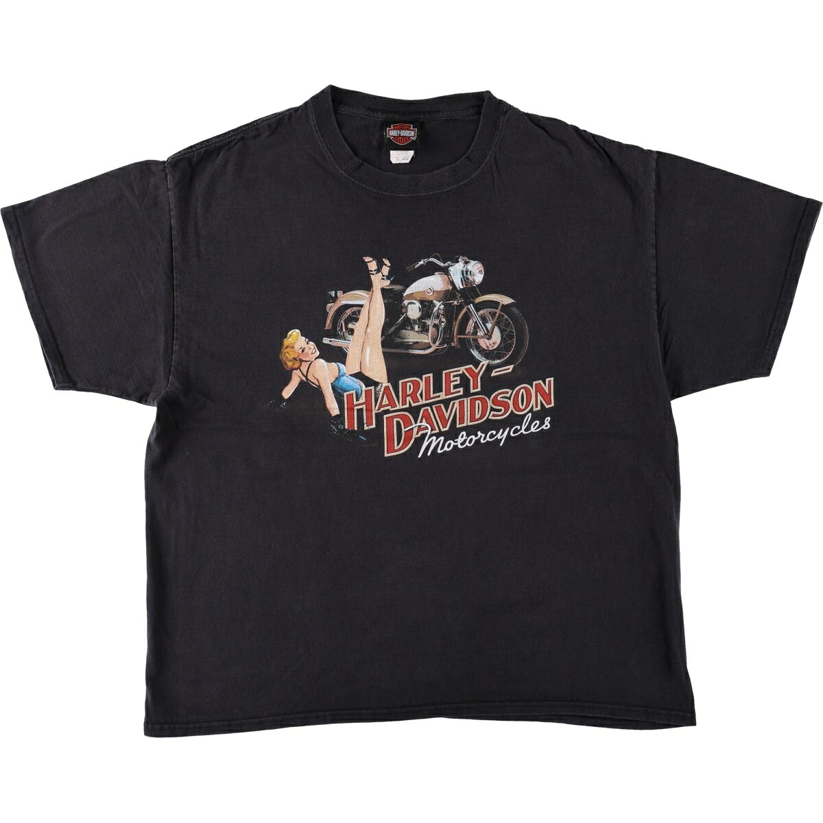 Hanes/ヘインズ Harley-Davidson ハーレーダビッドソン モーターサイクル バイクTシャツ