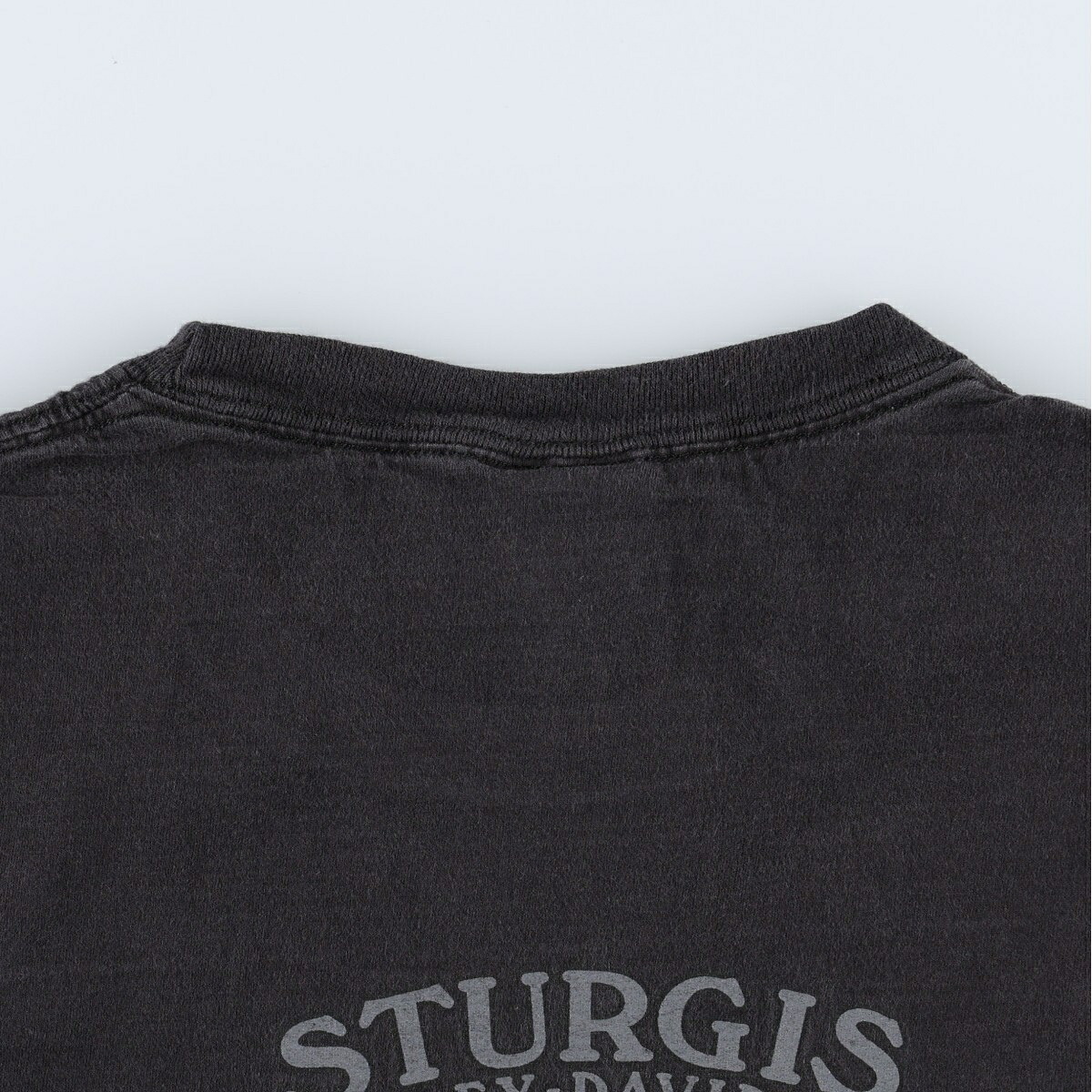 Hanes/ヘインズ Harley-Davidson ハーレーダビッドソン モーターサイクル バイクTシャツ