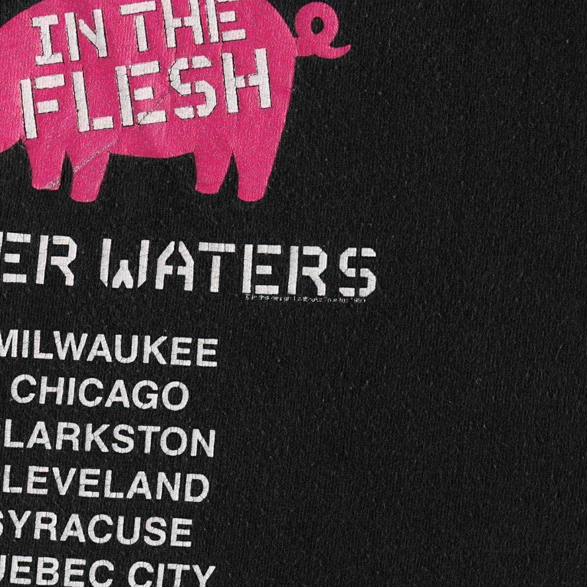 TULTEX/タルテックス ROGER WATERS ロジャーウォーターズ バンドTシャツ バンT