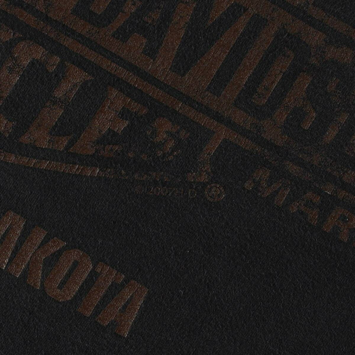 Harley-Davidson/ハーレーダビッドソン モーターサイクル バイクTシャツ