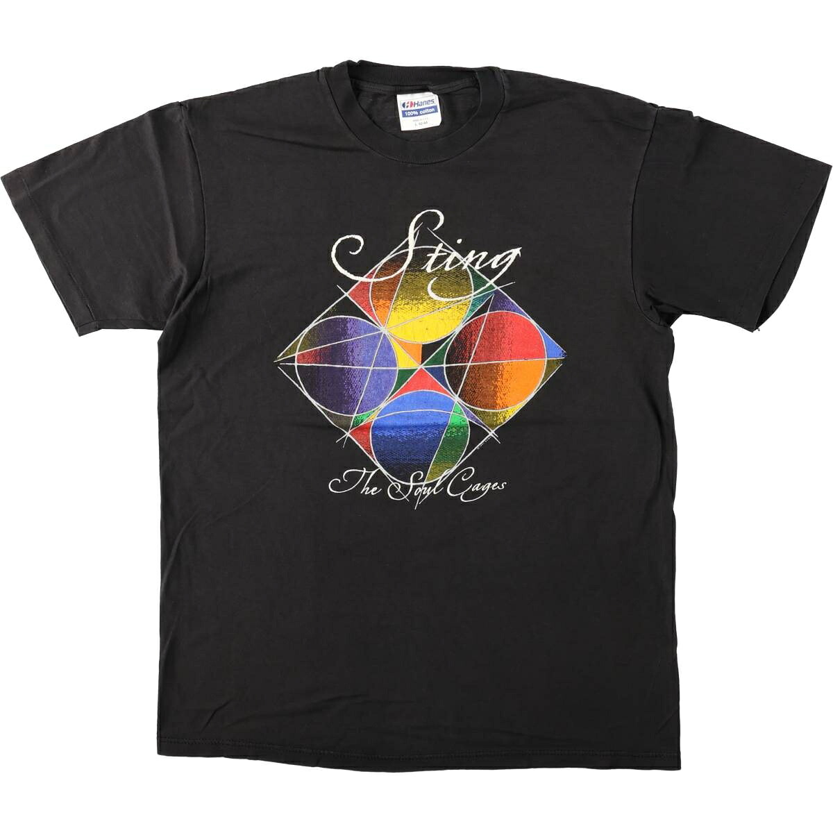 Hanes/ヘインズ STING スティング バンドTシャツ バンT