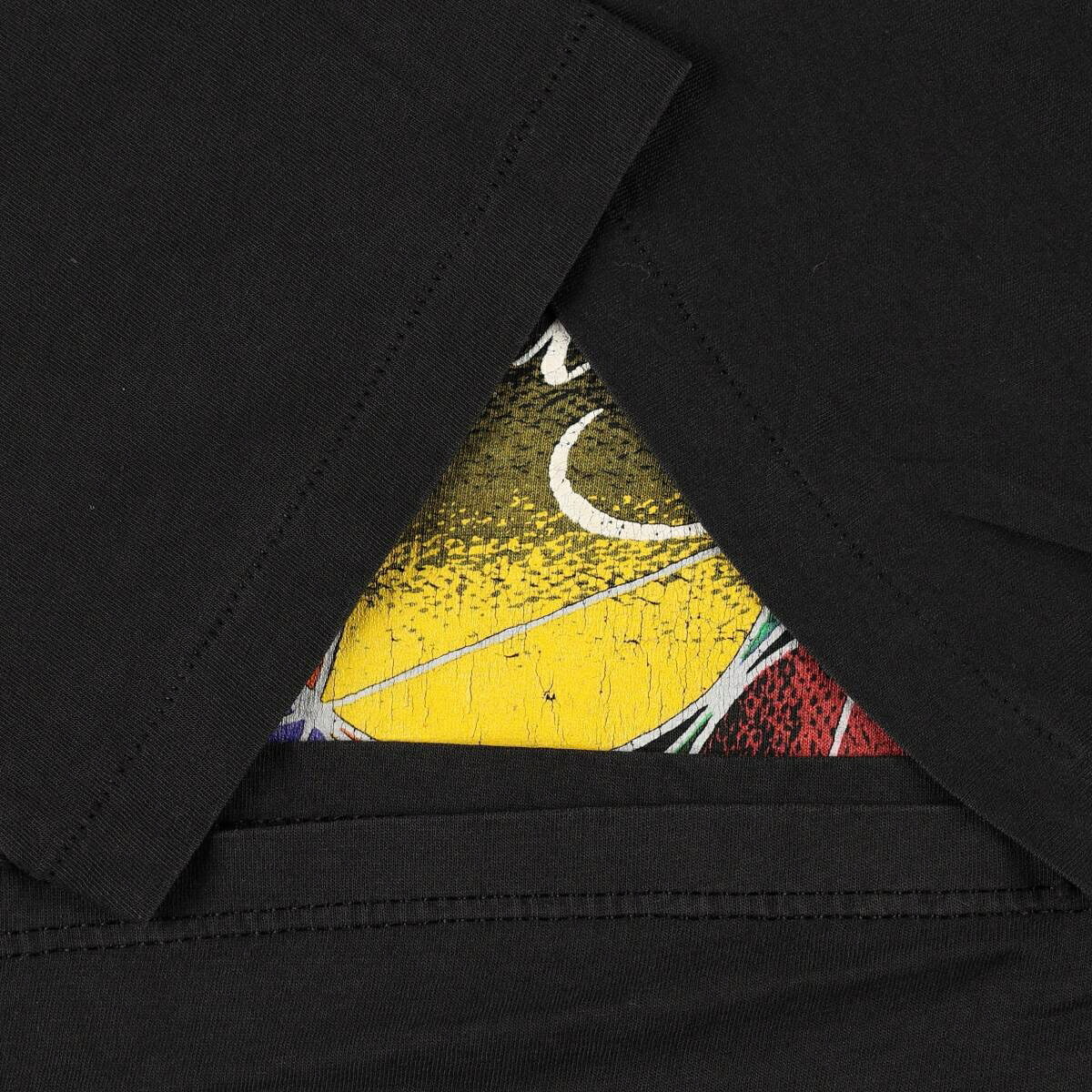 Hanes/ヘインズ STING スティング バンドTシャツ バンT