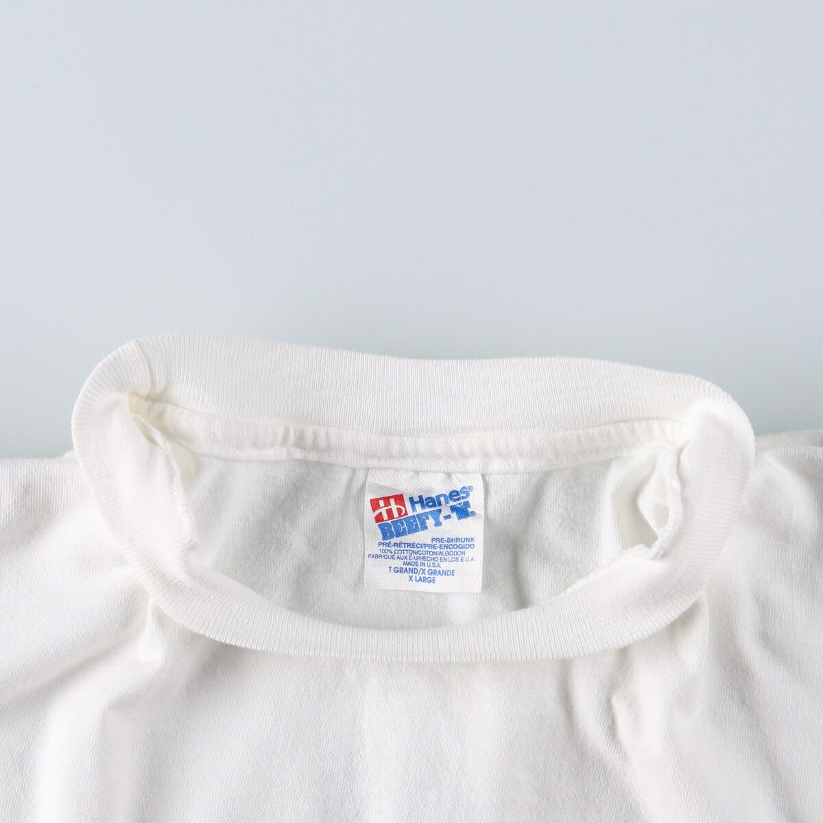 Hanes/ヘインズ BEEFY-T STEVE RILEY AND THE MAMOU PLAYBOYS スティーヴライリーアンドザマモウプレイボーイズ バンドTシャツ バンT