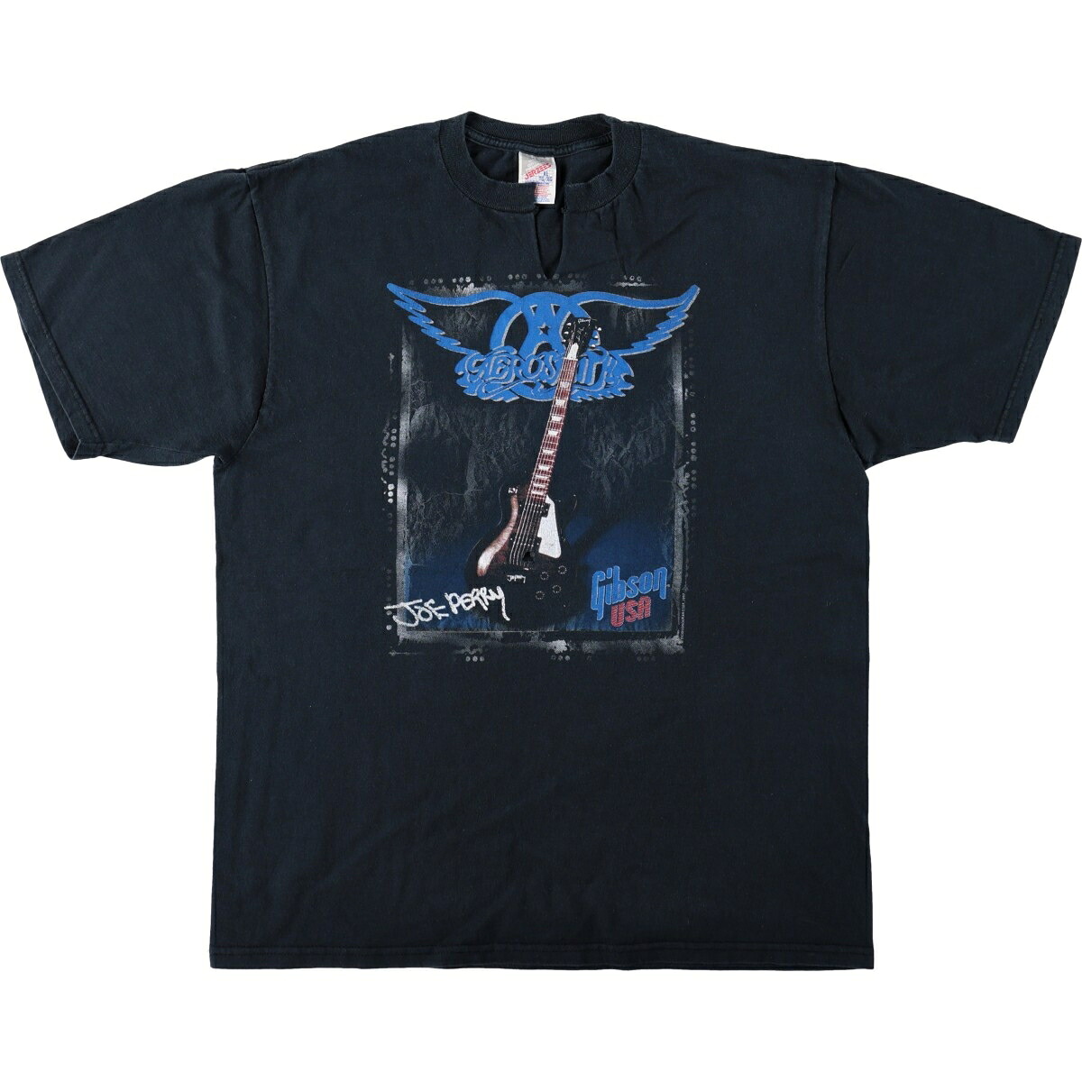 Jerzees/ジャージーズ AEROSMITH エアロスミス バンドTシャツ バンT